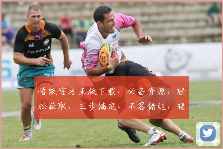悟饭官方正版下载，必备资源，轻松获取，三步搞定，不容错过，错过再无