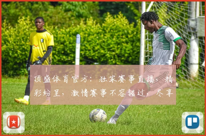顶盛体育官方：独家赛事直播，精彩纷呈，激情赛事不容错过，尽享体育盛宴
