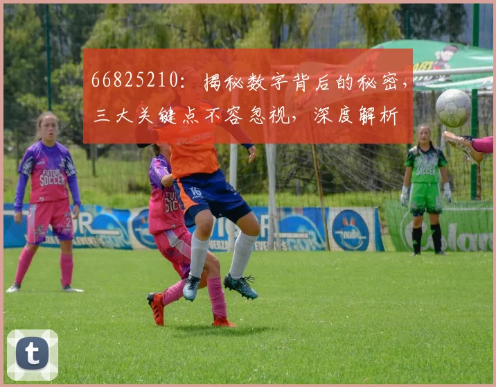 66825210：揭秘数字背后的秘密，三大关键点不容忽视，深度解析