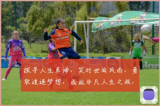 探寻人生真谛，笑对世间风雨，勇敢追逐梦想，成就非凡人生之旅，三步一回头，四顾皆风景。