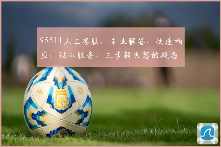 95511人工客服，专业解答，快速响应，贴心服务，三步解决您的疑惑，尽享无忧体验