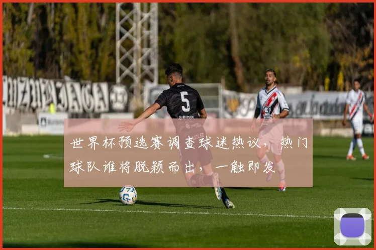 世界杯预选赛调查球迷热议，热门球队谁将脱颖而出，一触即发